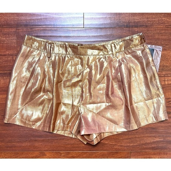 NWT RETROFETE Set Silk Metallic Chiffon High Waist Pleated Short & Bra Top XL - Picture 10 of 16